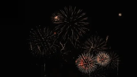 搞鸡网站节日庆典视频素材分类